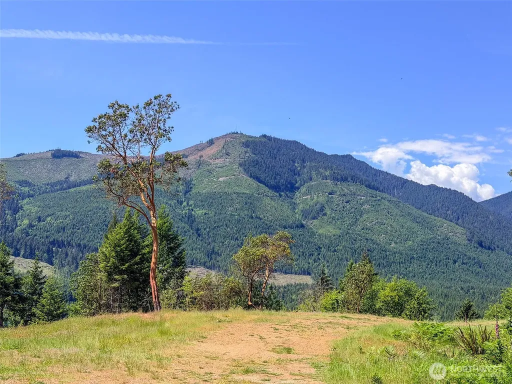111 Rocky Brook Road Brinnon WA 98320