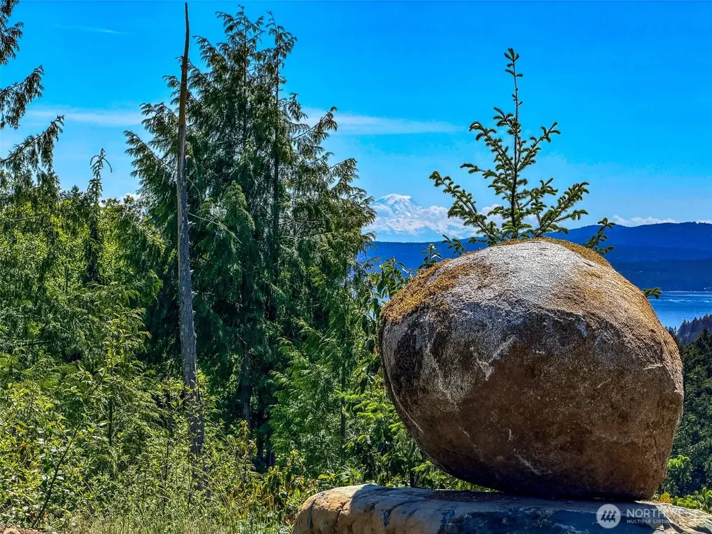 111 Rocky Brook Road Brinnon WA 98320