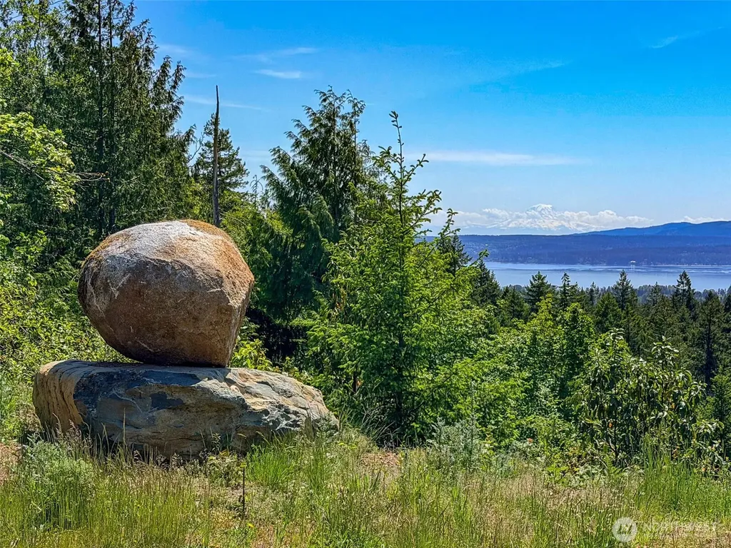 111 Rocky Brook Road Brinnon WA 98320