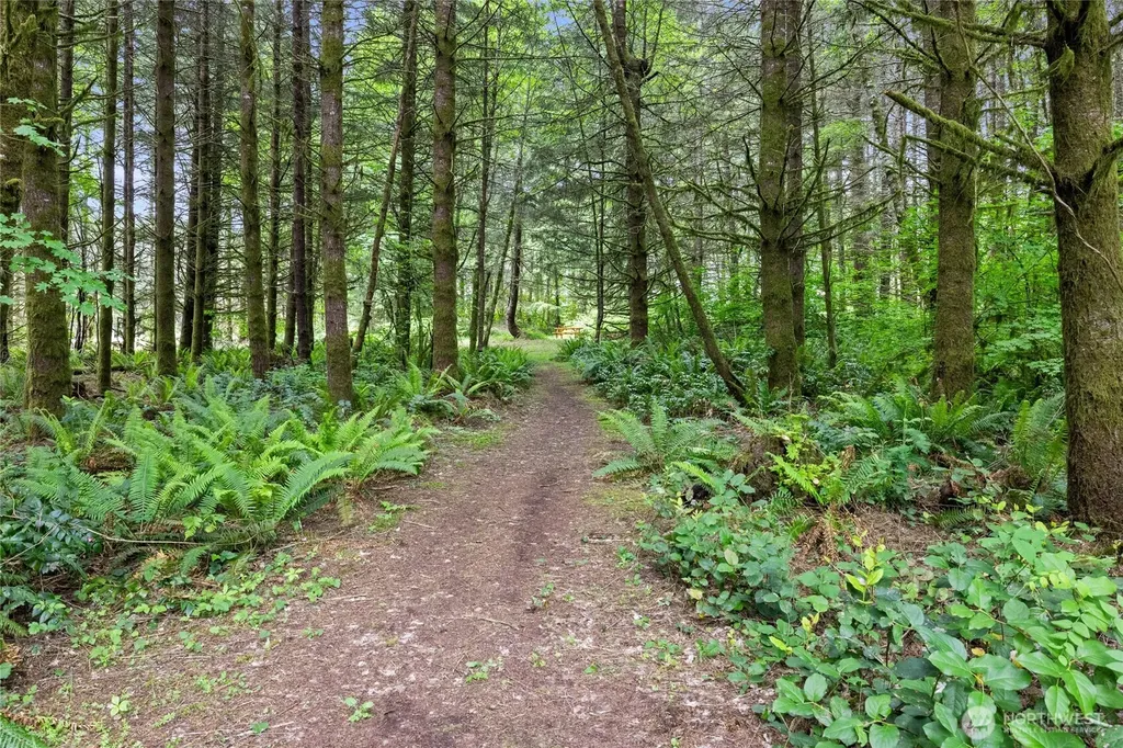 123 Lentz Rd N Winlock WA 98596