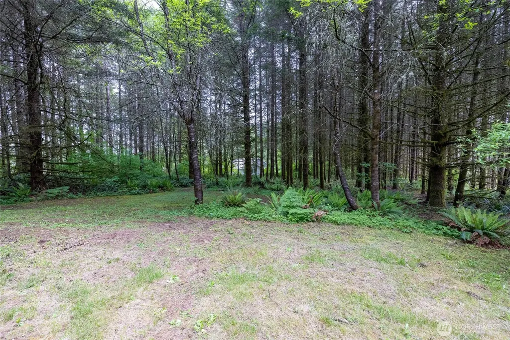 123 Lentz Rd N Winlock WA 98596