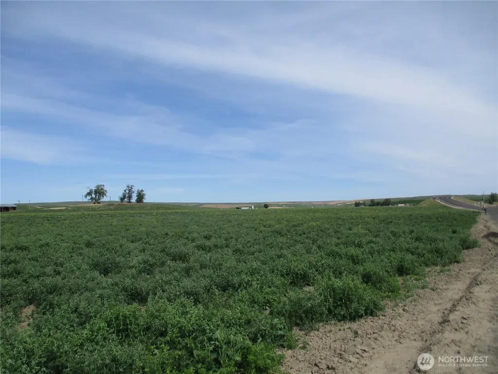 669 Cummins Road Touchet WA 99360