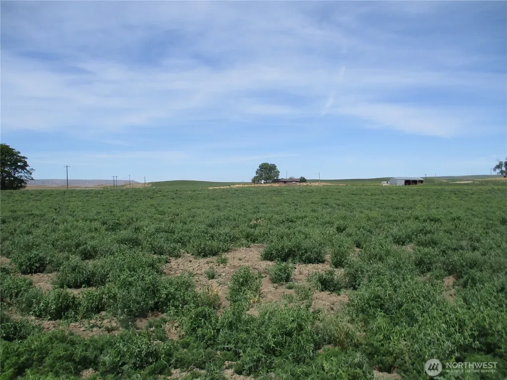 669 Cummins Road Touchet WA 99360