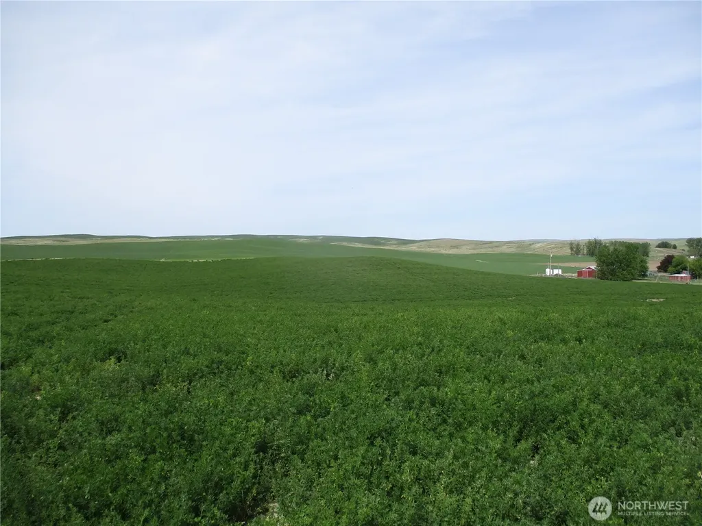 1351 Cummins Road Touchet WA 99360