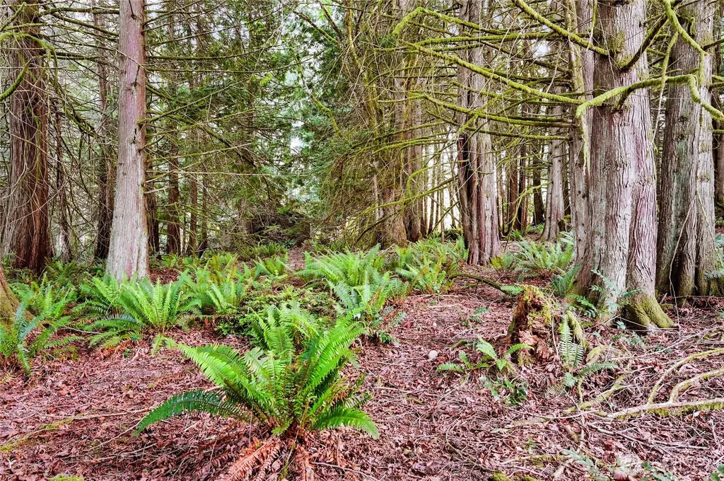 0 Rainier Lane Port Ludlow WA 98365