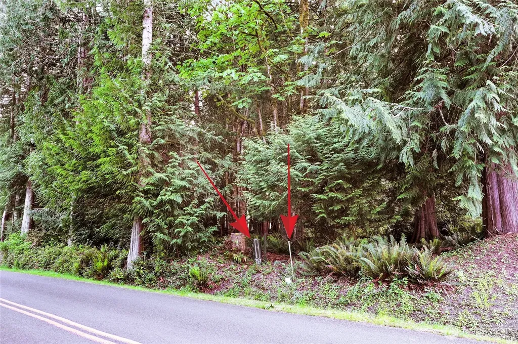 0 Rainier Lane Port Ludlow WA 98365