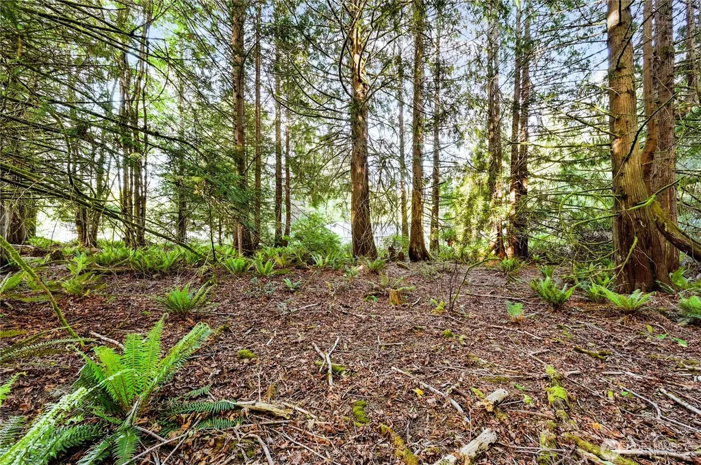 0 Rainier Lane Port Ludlow WA 98365