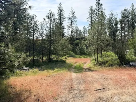 0 Johns Rocky Way E Davenport WA 99122