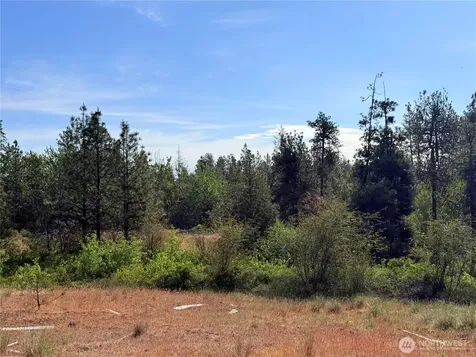 0 Johns Rocky Way E Davenport WA 99122