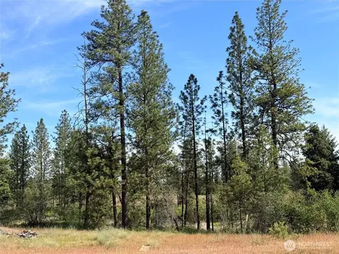 0 Johns Rocky Way E Davenport WA 99122