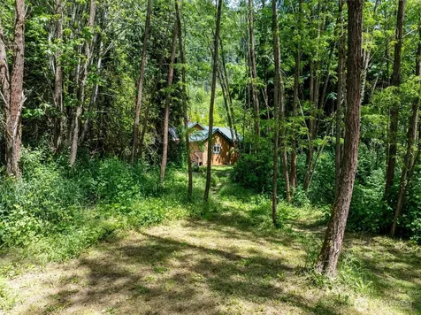 1364 Silverbrook Road Randle WA 98377
