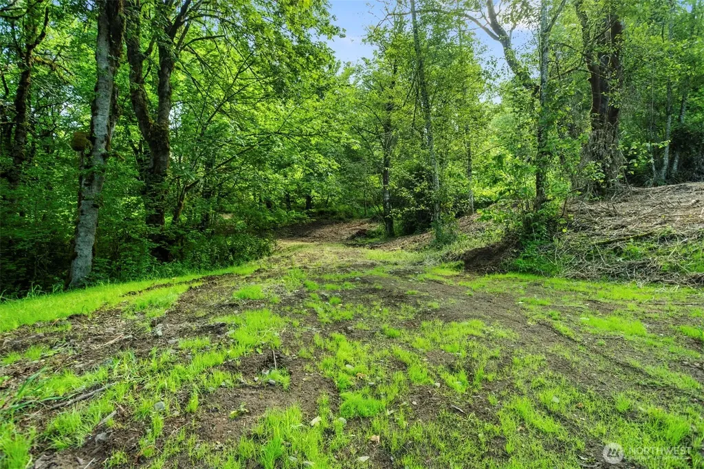 110 N Burke Road Woodland WA 98674