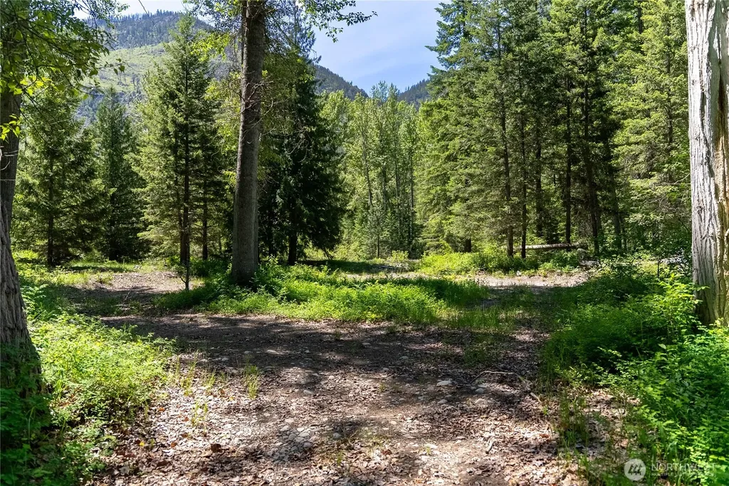 101 Cassel Way Mazama WA 98833