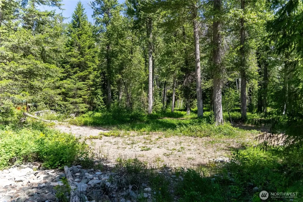 101 Cassel Way Mazama WA 98833