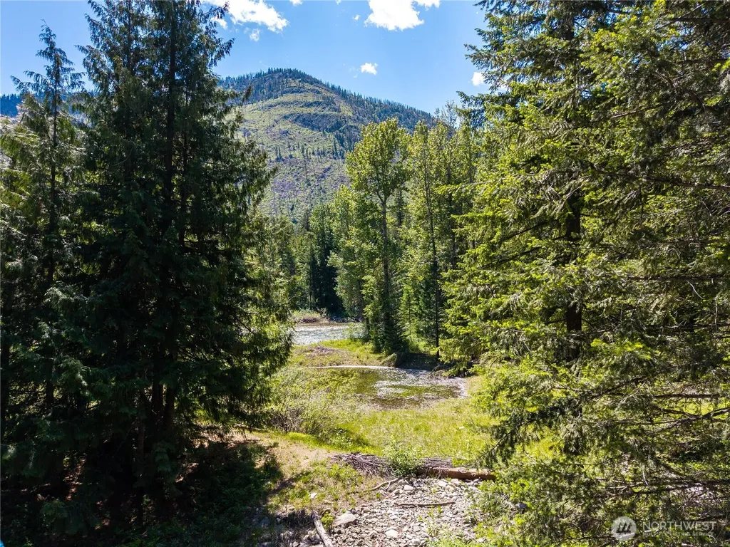 101 Cassel Way Mazama WA 98833