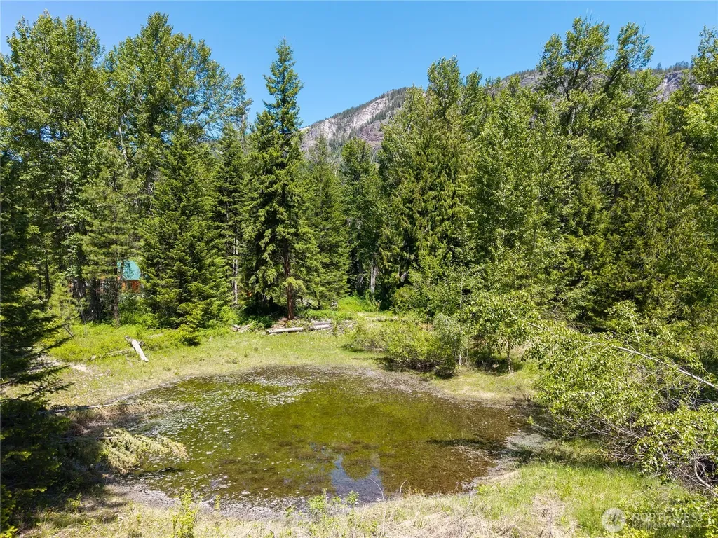 101 Cassel Way Mazama WA 98833
