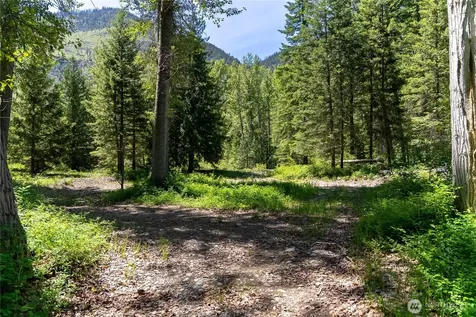101 Cassel Way Mazama WA 98833