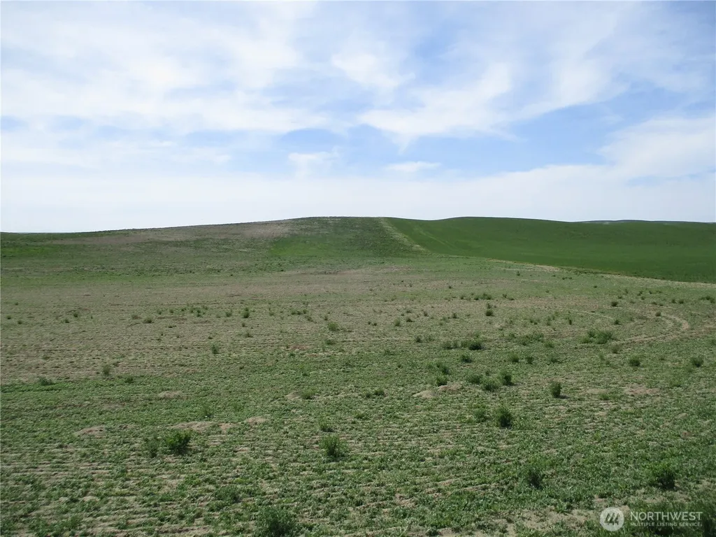 1351 Cummins Road Touchet WA 99360