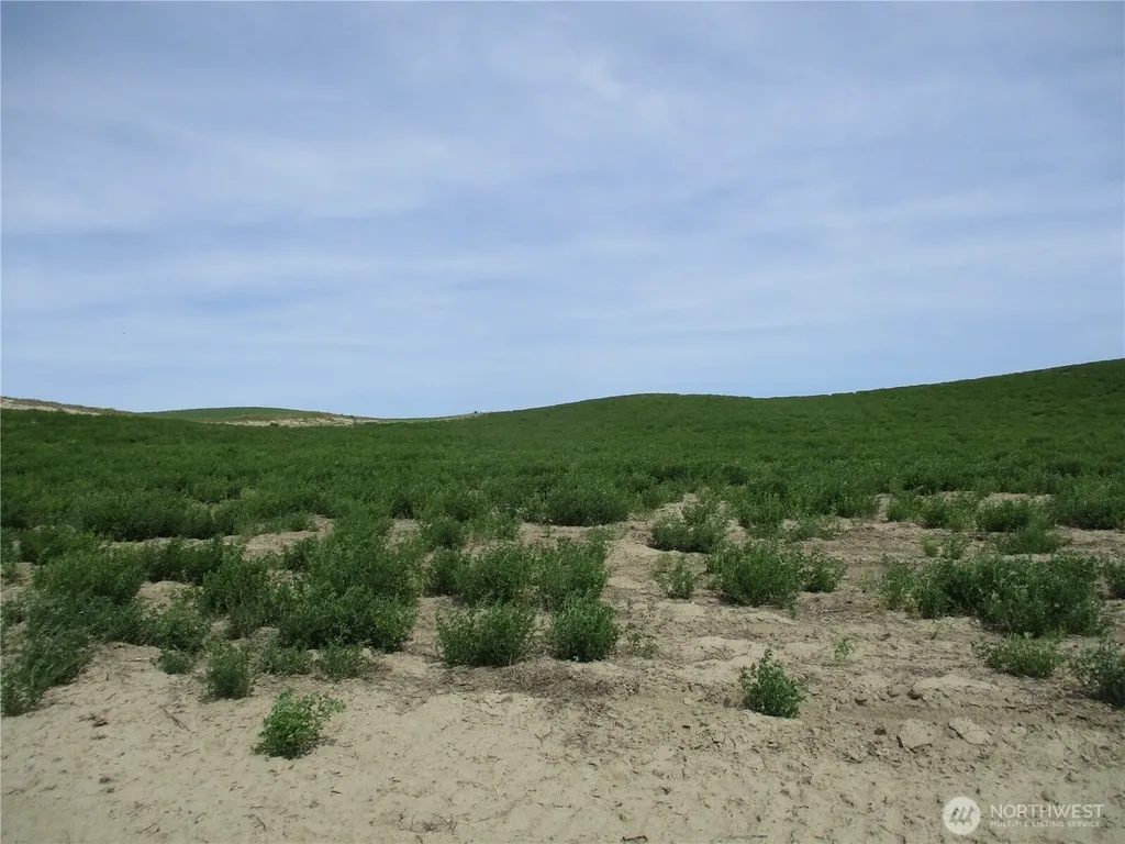 1351 Cummins Road Touchet WA 99360