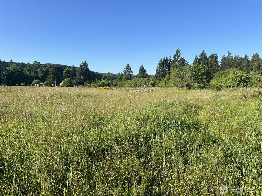 1899 State Route 506 Vader WA 98593