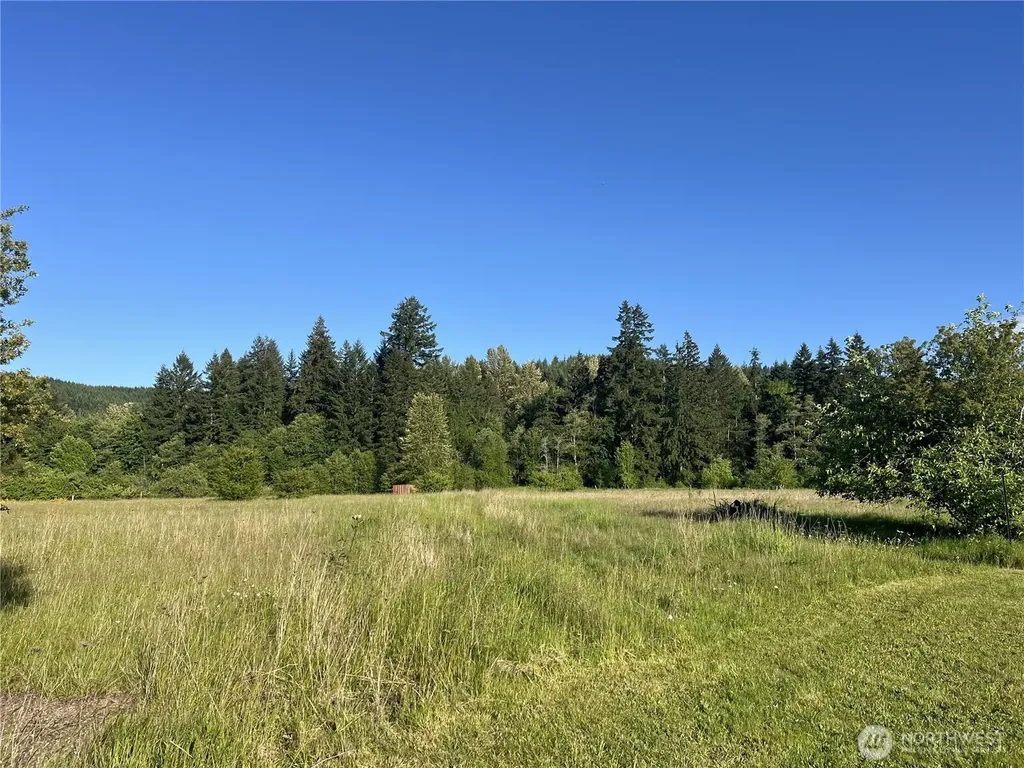 1899 State Route 506 Vader WA 98593