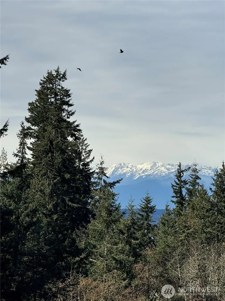 17123 69th Place W Edmonds WA 98026