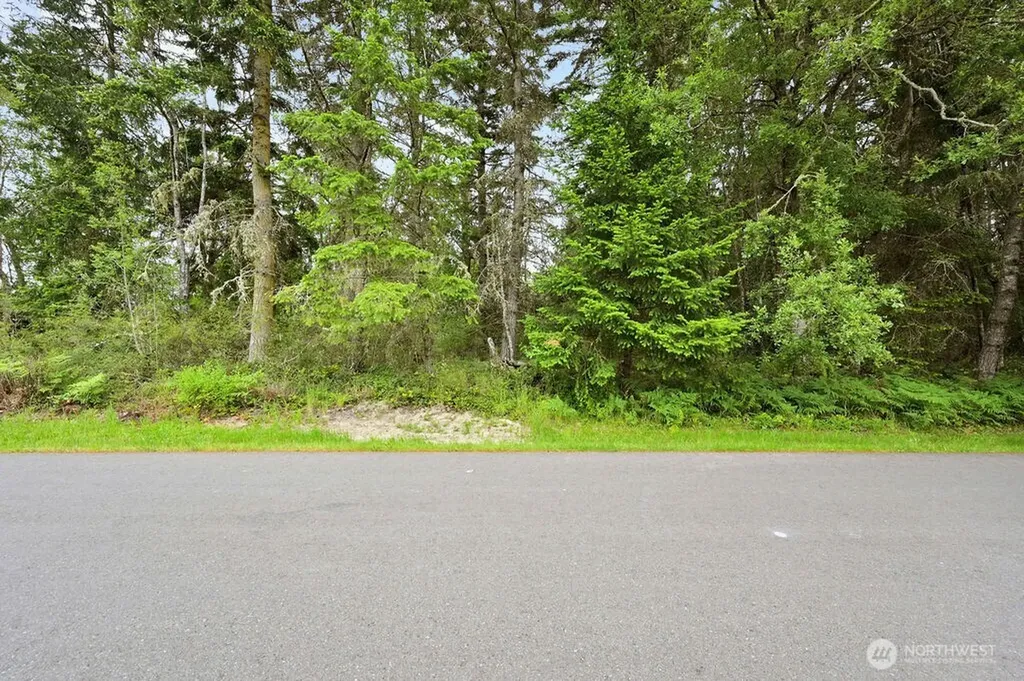 999 Blue Sky Drive Port Townsend WA 98368