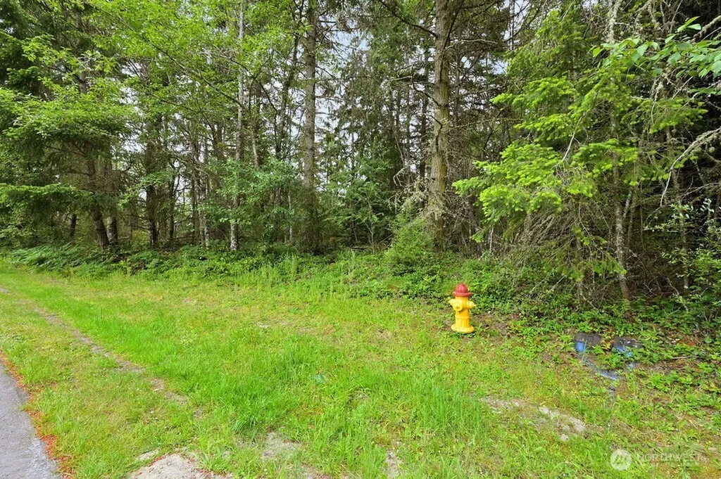 999 Blue Sky Drive Port Townsend WA 98368