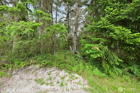 999 Blue Sky Drive Port Townsend WA 98368
