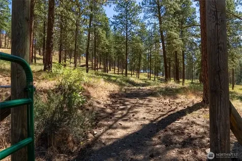 10 Sims Canyon Road Twisp WA 98856