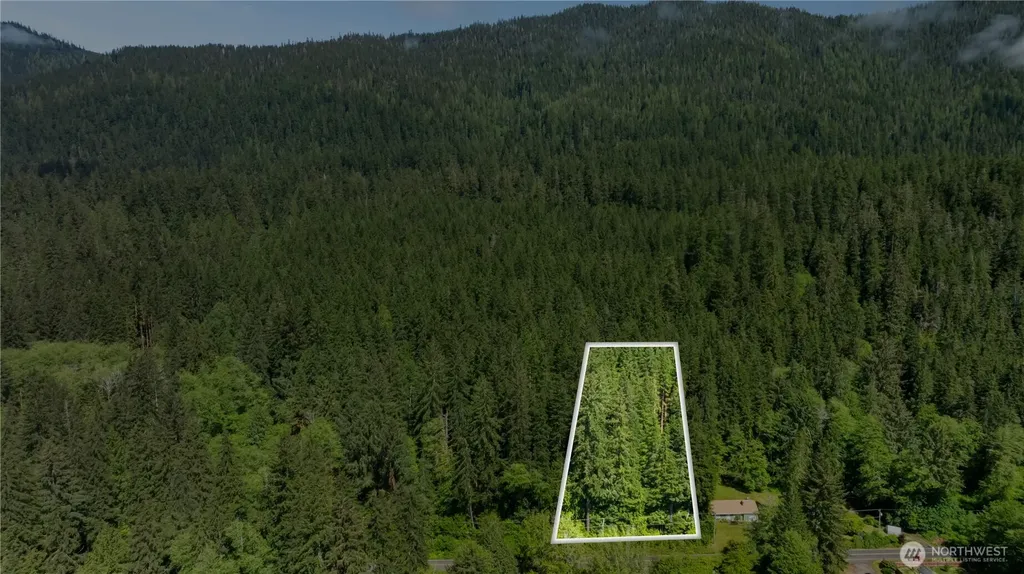 0 Blk 6 Viewpoint Amanda Park WA 98526