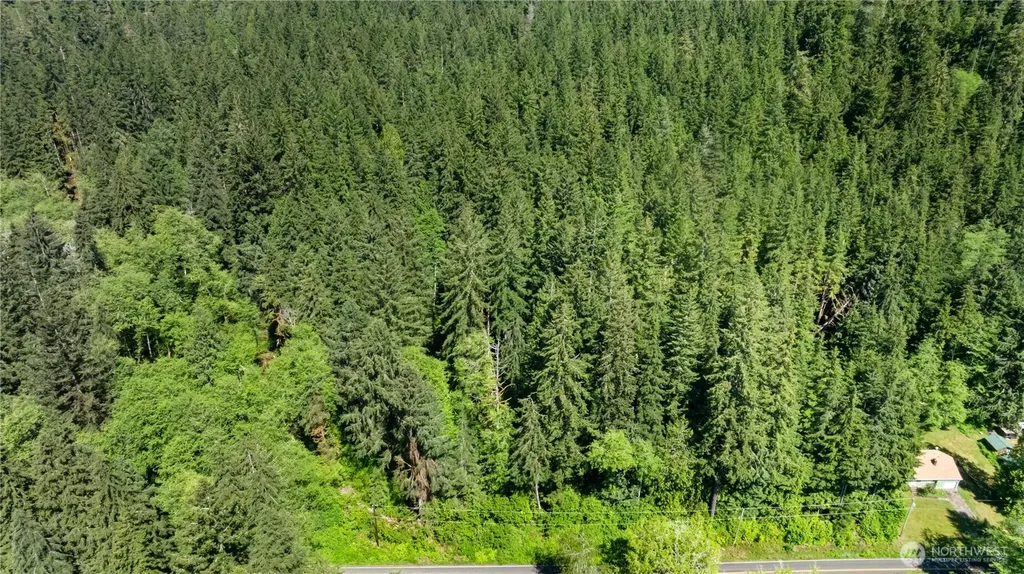 0 Blk 6 Viewpoint Amanda Park WA 98526