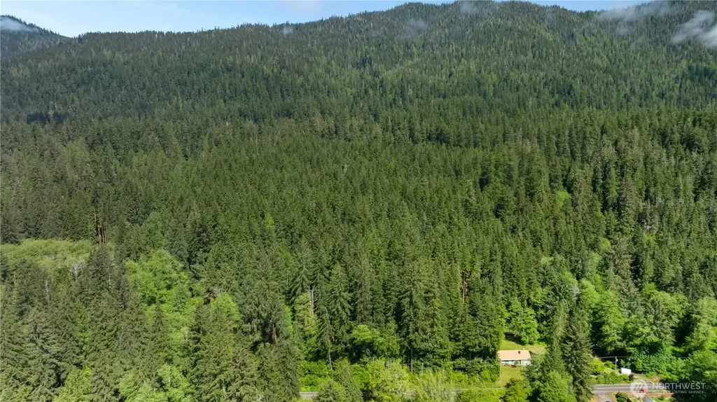 0 Blk 6 Viewpoint Amanda Park WA 98526