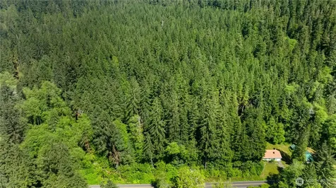 0 Blk 6 Viewpoint Amanda Park WA 98526
