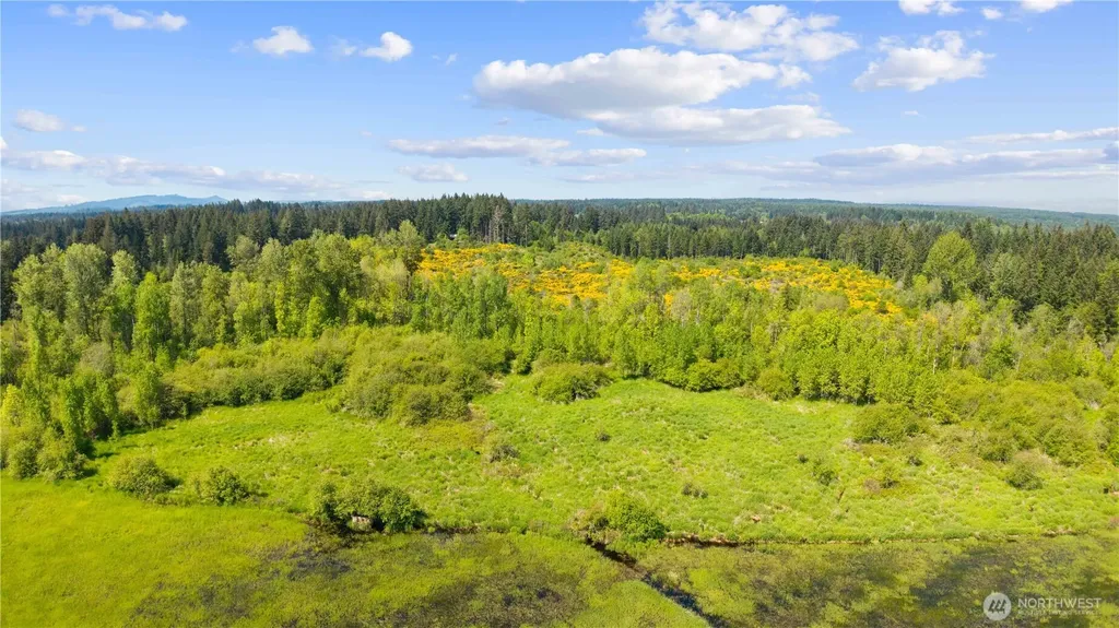 0 Charbonneau Lane SE Yelm WA 98597