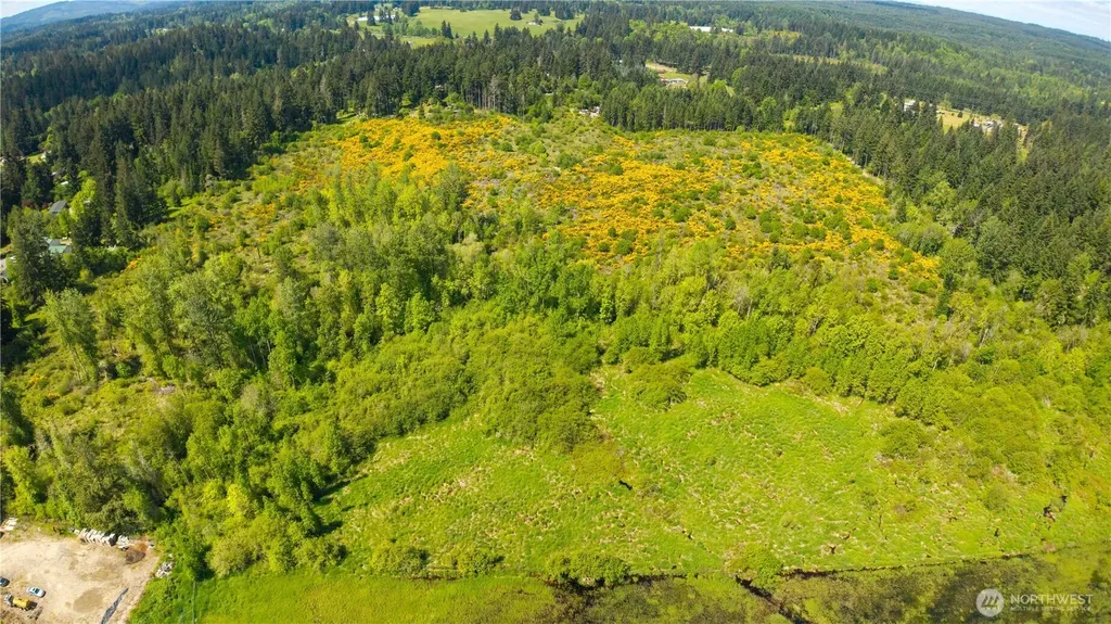 0 Charbonneau Lane SE Yelm WA 98597