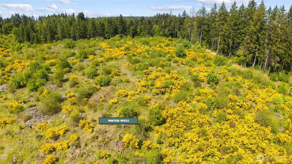 0 Charbonneau Lane SE Yelm WA 98597