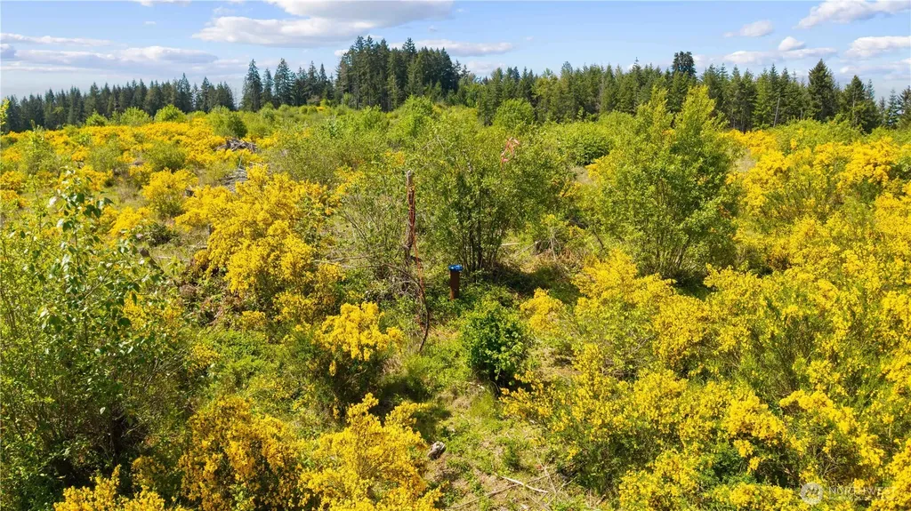 0 Charbonneau Lane SE Yelm WA 98597