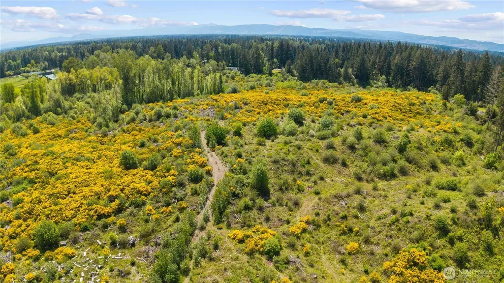 0 Charbonneau Lane SE Yelm WA 98597