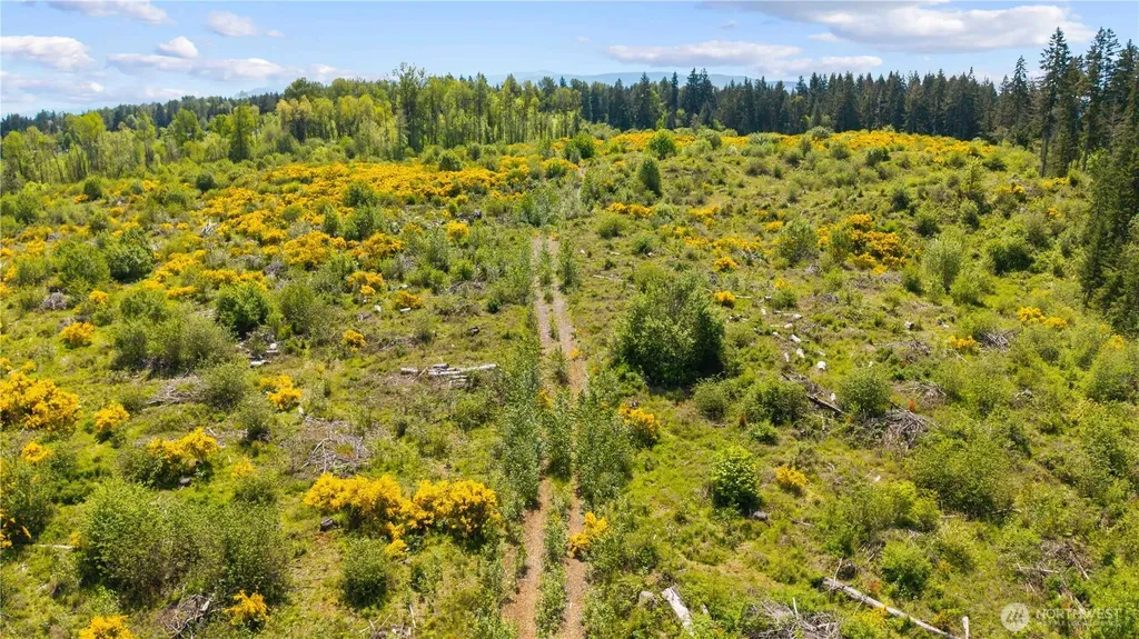 0 Charbonneau Lane SE Yelm WA 98597