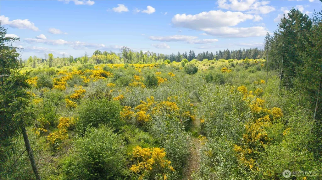 0 Charbonneau Lane SE Yelm WA 98597