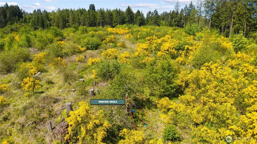 0 Charbonneau Lane SE Yelm WA 98597