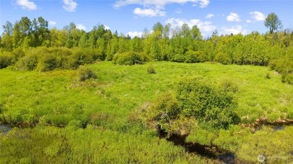 0 Charbonneau Lane SE Yelm WA 98597