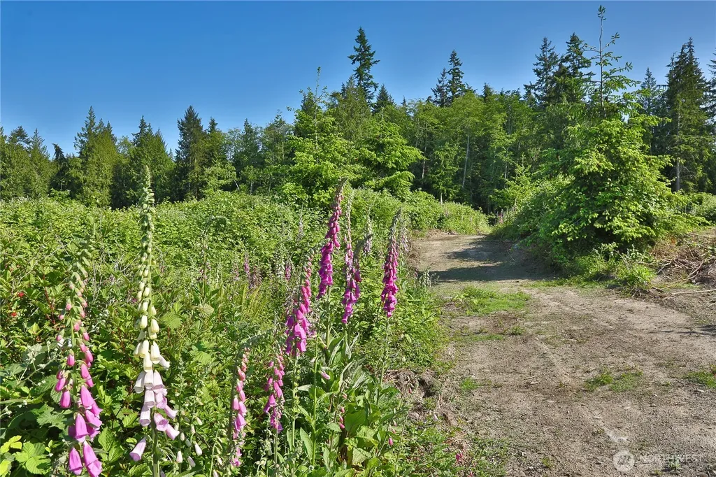2062 Goodell Road Freeland WA 98249