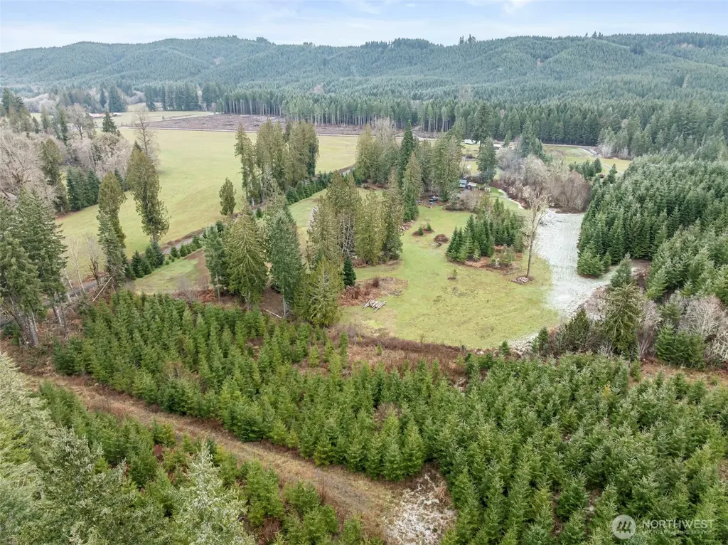 0 Wildwood Road Boistfort WA 98538
