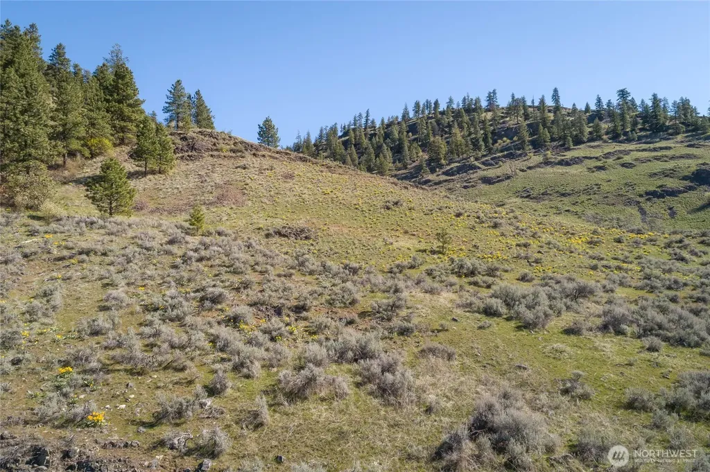 1 Whiskey Mountain Ranches Tonasket WA 98855