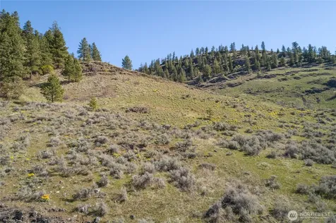 1 Whiskey Mountain Ranches Tonasket WA 98855