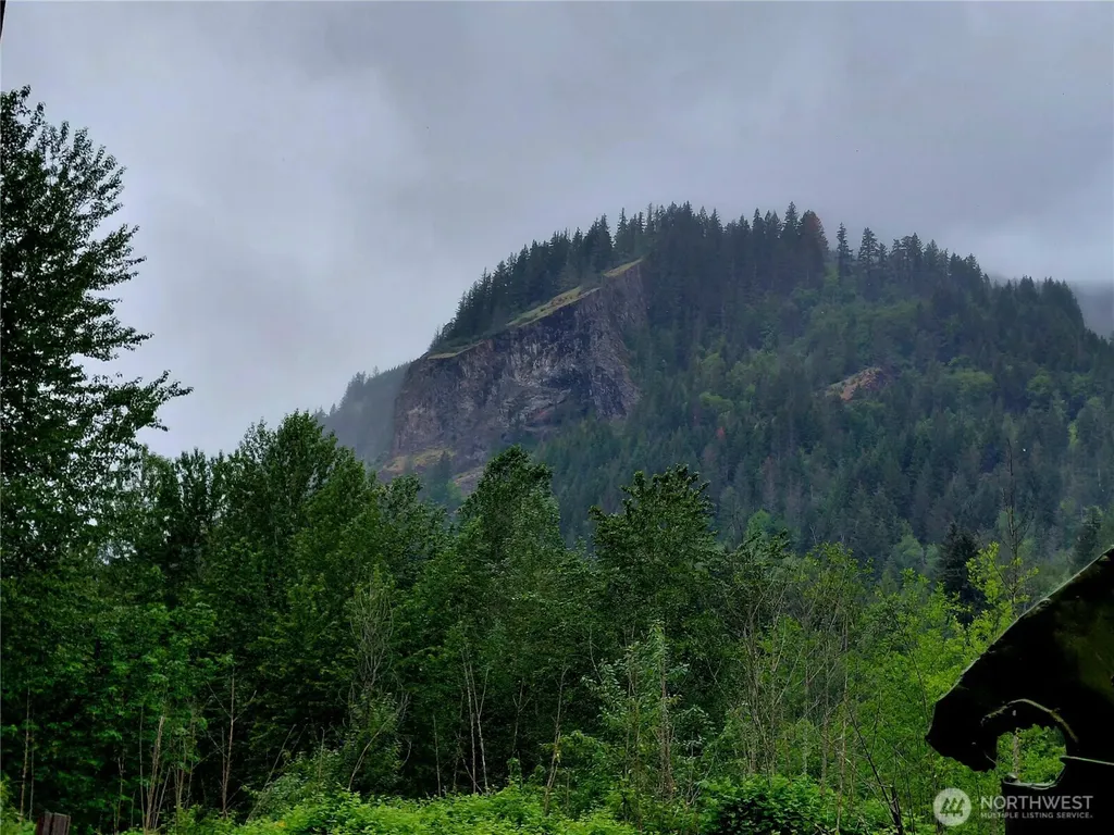 0 Highway 12 Randle WA 98377