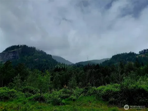 0 Highway 12 Randle WA 98377