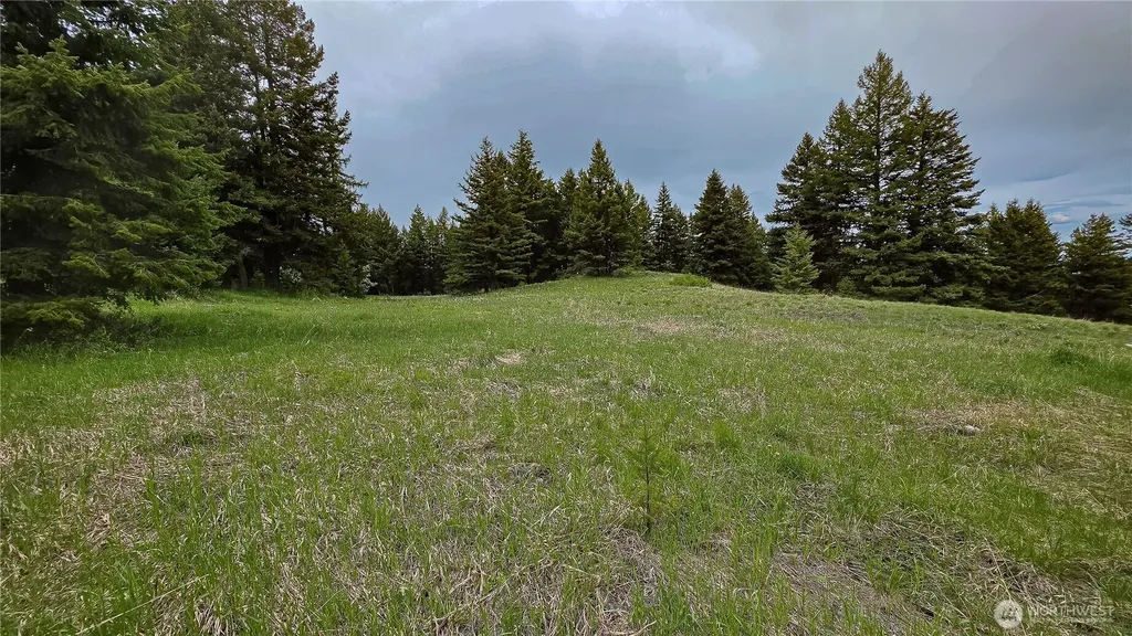 196 Davies Road Oroville WA 98844